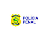 Sem título-7